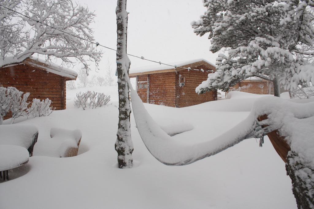 Dalvik Vegamot Cottages Room photo